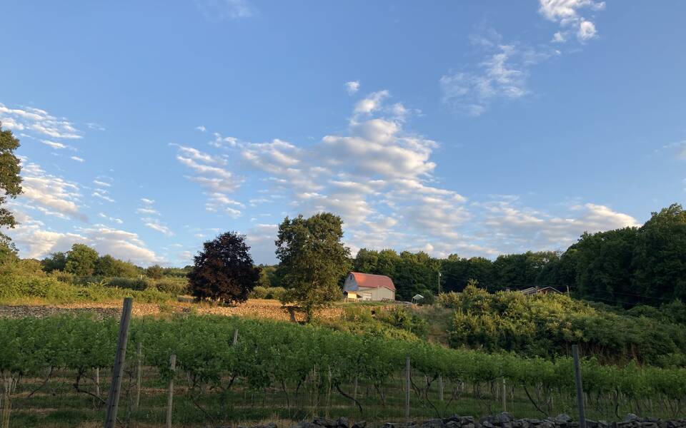 new-york-cider-association