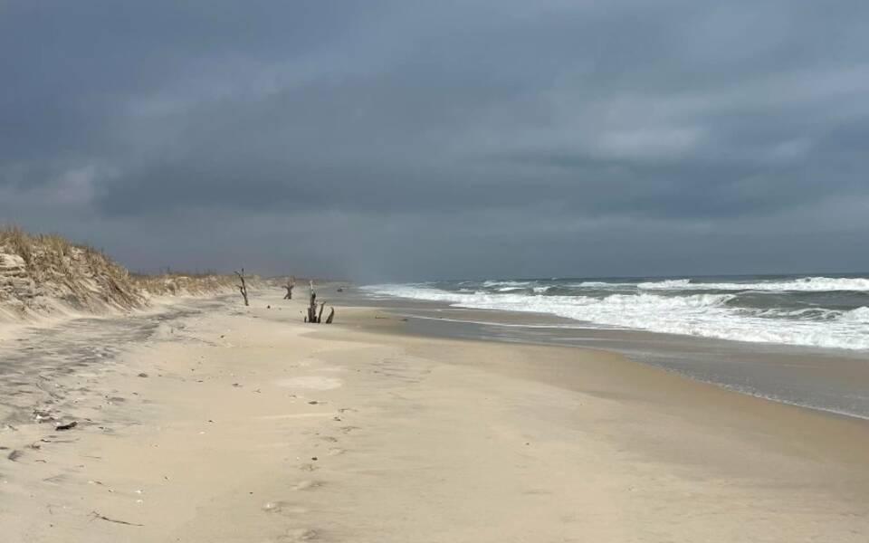 Assateague Explorer Pony Watching Cruise & Kayaking Chincoteague Reviews: What To Expect (pros & Cons)