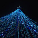 Christmas in the Park