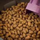 Oklahoma Pecan Festival