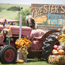 Chester's Pumpkin Patch