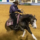 Fallfest Hunter Jumper Horse Show