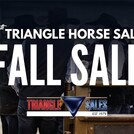 Triangle Fall Horse Sale
