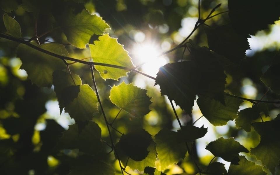 Vandever Park facility photo